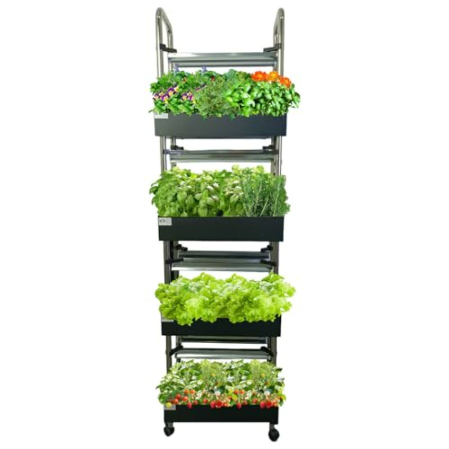 Smart Garden System - System hydroponiczny do uprawy roślin w