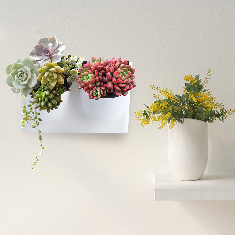 Samonawadniająca się doniczka  – Self Watering Planter recenzja i cena