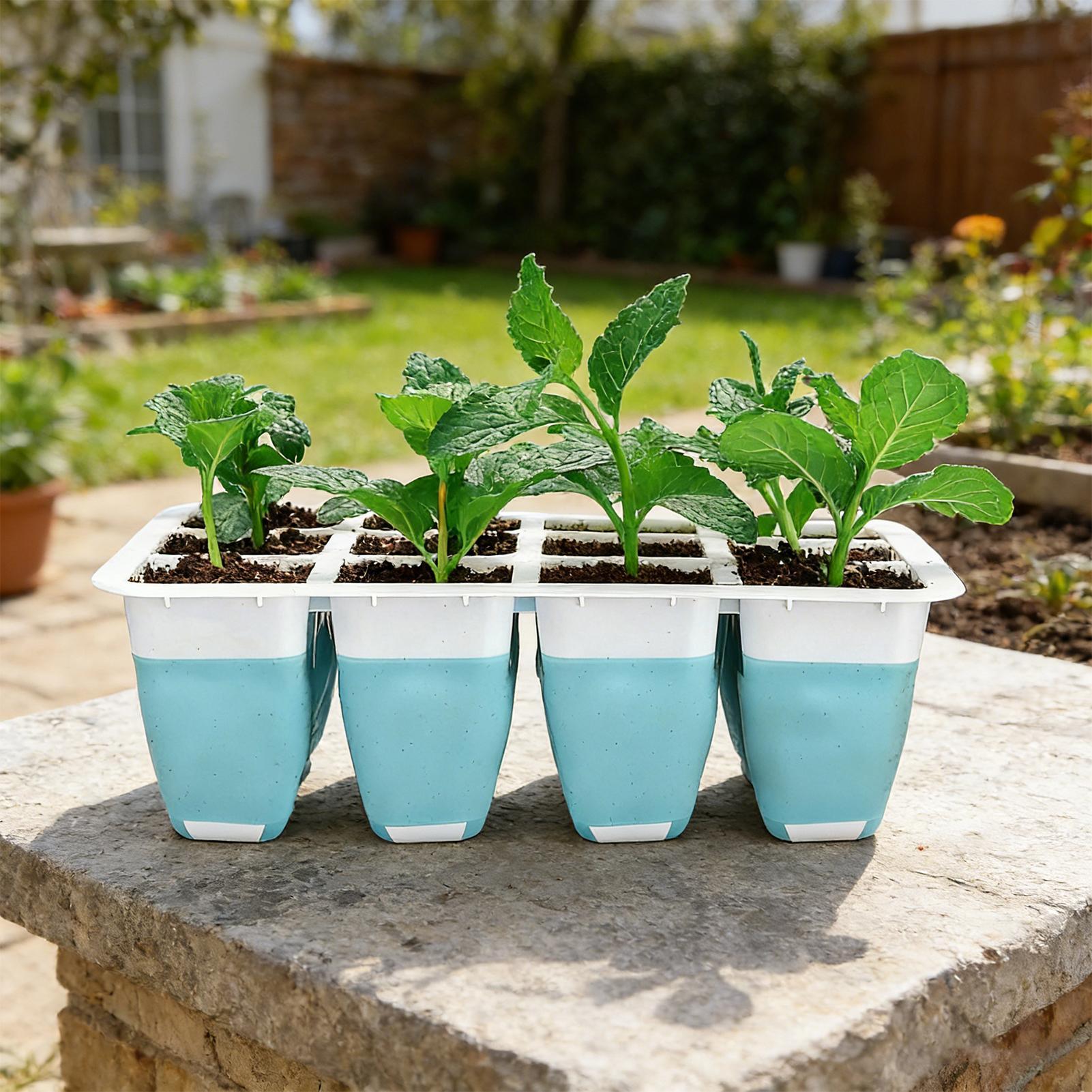 5 sztuk silikonowych tacek do  – Indoor Garden Kit recenzja i cena