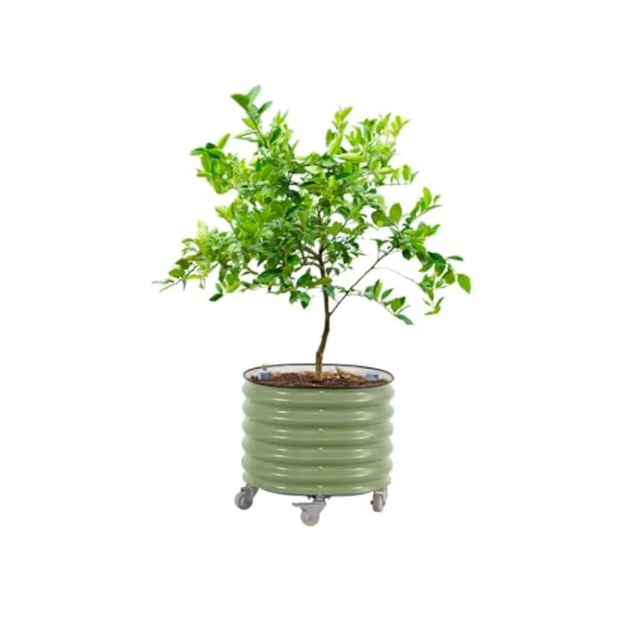 Kwadratowe doniczki do uprawy  – Self Watering Planter recenzja i cena