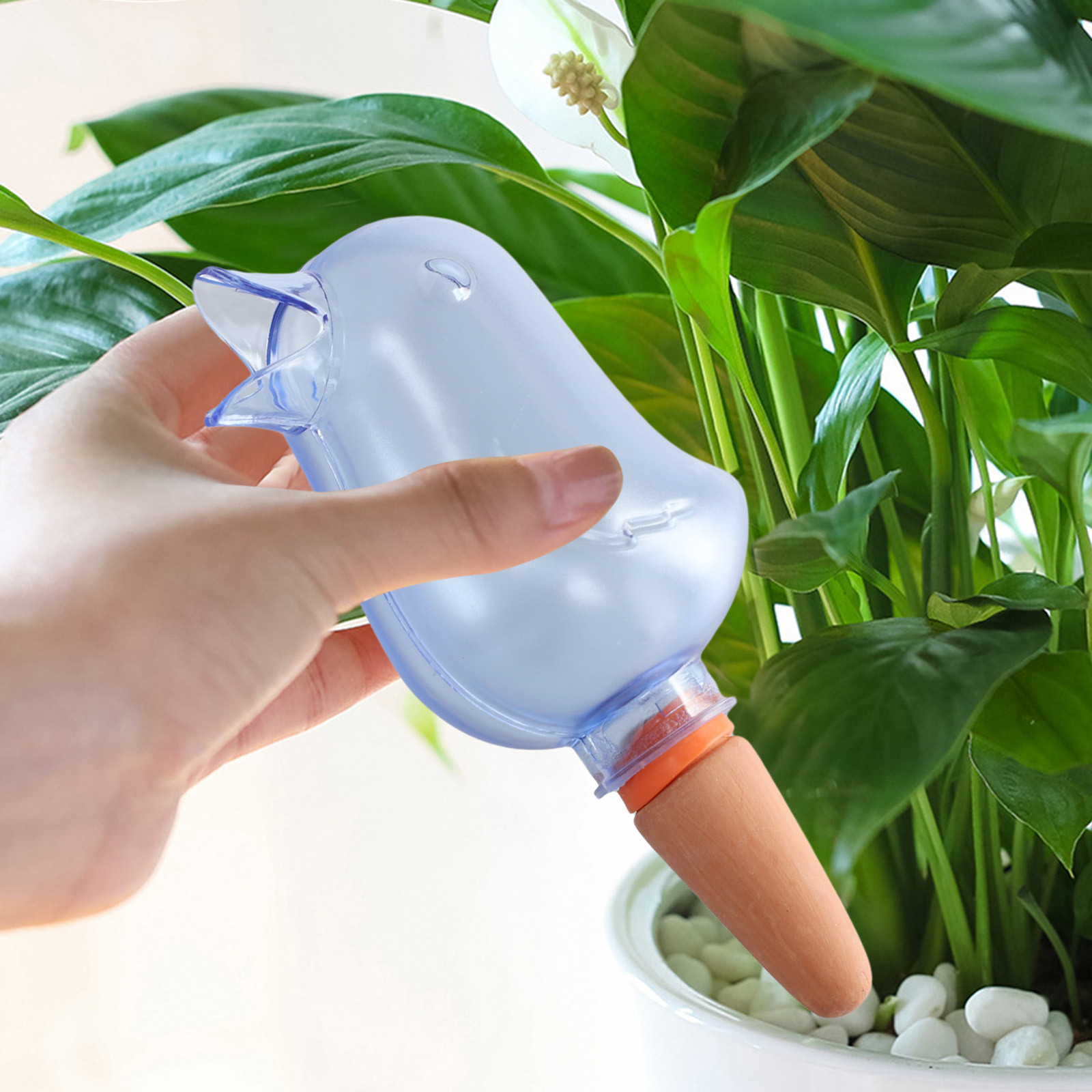 Automatyczny system nawadniani – Self Watering Planter recenzja i cena