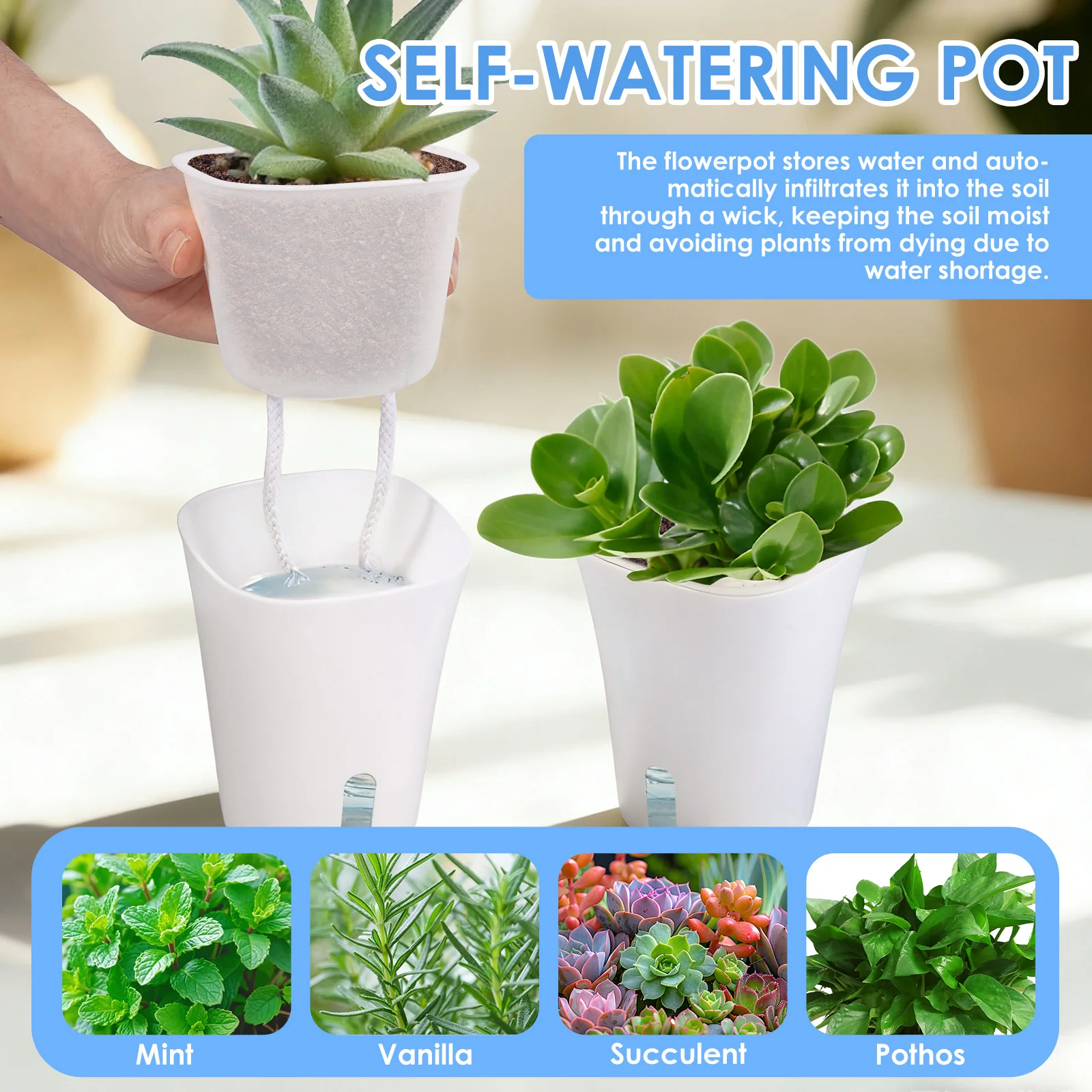 10 szt. Samonawadniające się d – Hydroponic Grow Pod recenzja i cena
