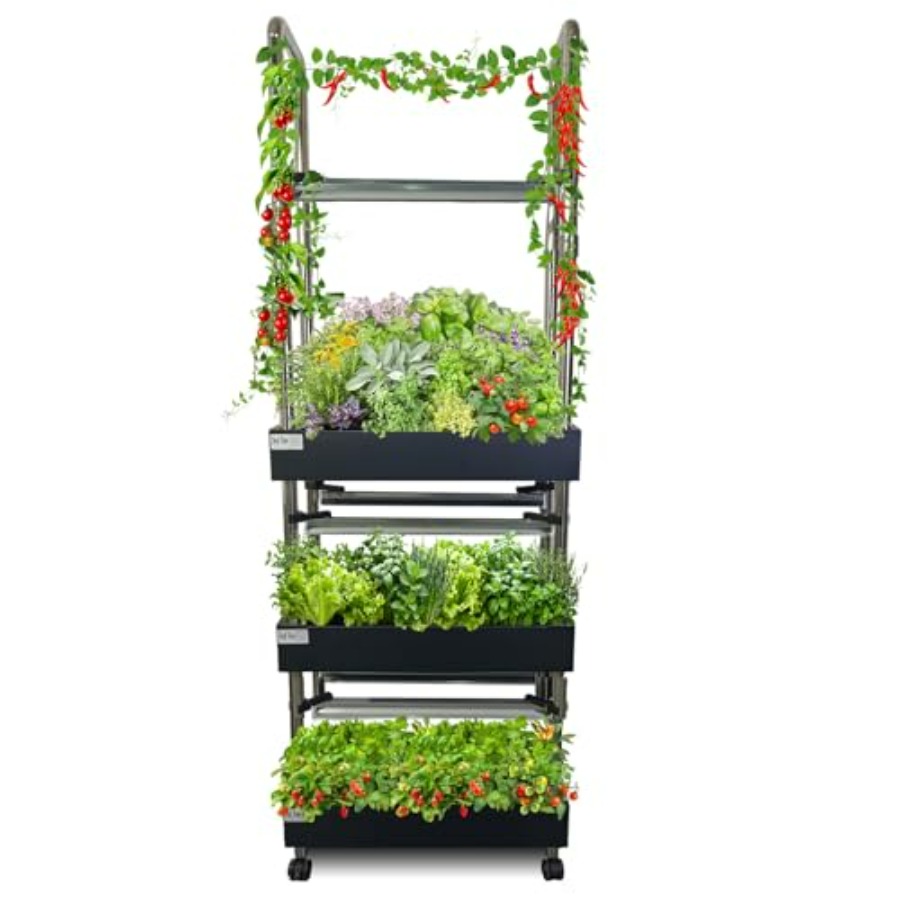 System hydroponiczny do uprawy – Smart Garden System recenzja i cena