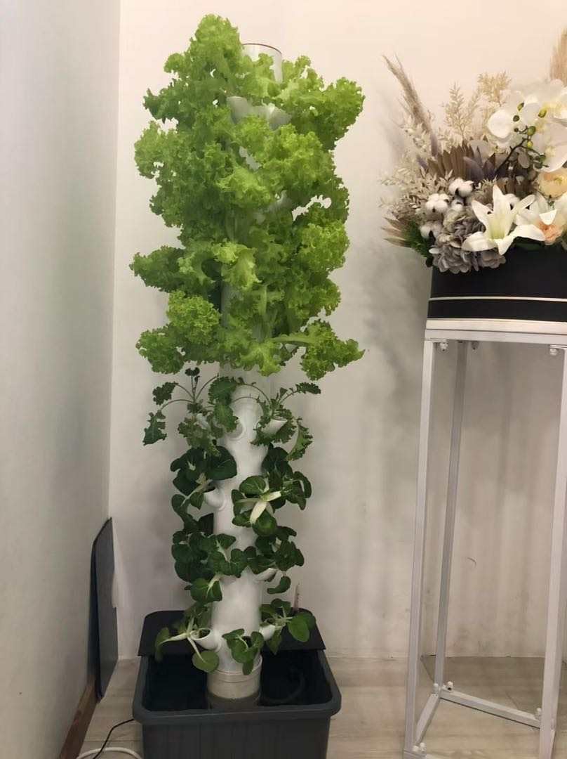 Wieża do hydroponiki pionowej, – Hydroponic Tower recenzja i cena