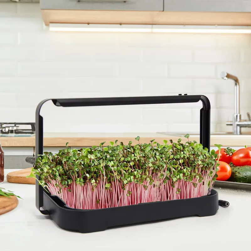 Taca hydroponiczna do uprawy m – Indoor Garden Kit recenzja i cena