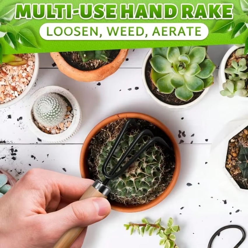 3 szt./zestaw Mini Zestaw Narz – Indoor Garden Kit recenzja i cena