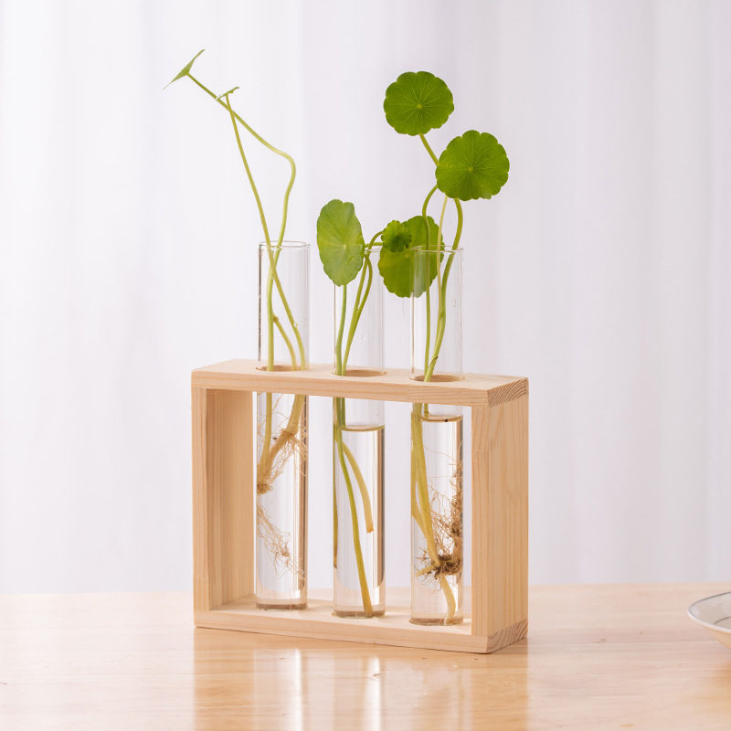 Hydroponiczny pojemnik na rośl – Hydroponic Grow Pod recenzja i cena