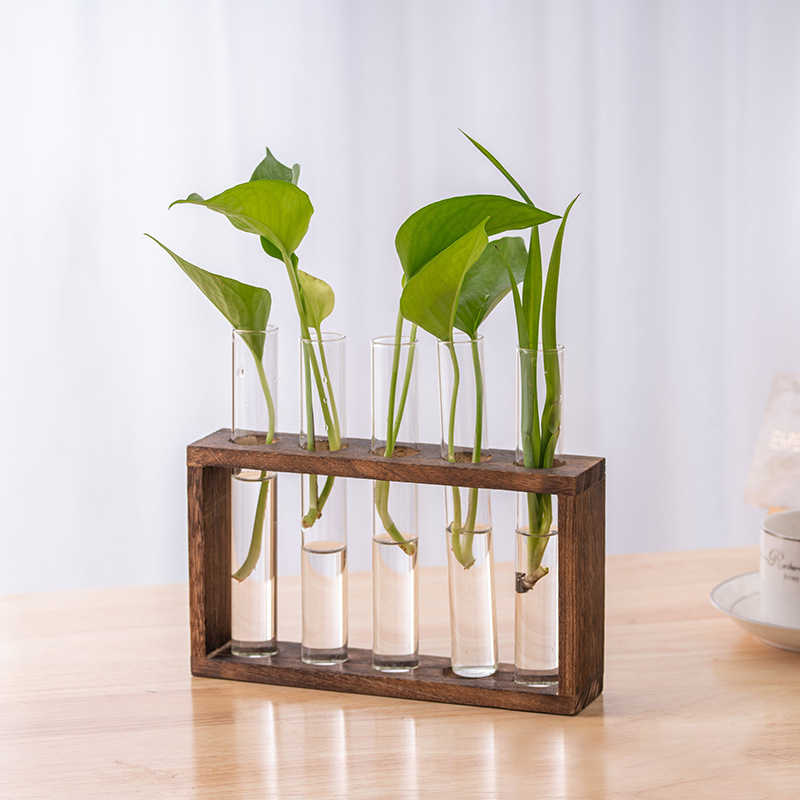 Hydroponiczny pojemnik na rośl – Hydroponic Grow Pod recenzja i cena